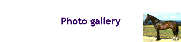 Photo gallery