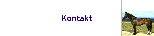 Kontakt